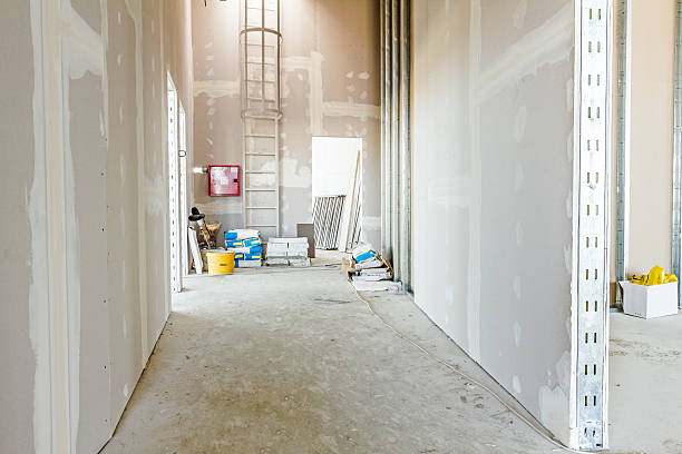 Best Drywall for New Construction  in Lacoochee, FL